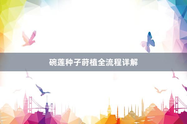 碗莲种子莳植全流程详解